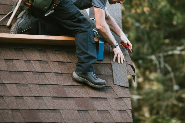 Best Shingle Roofing Installation  in Ladd, IL