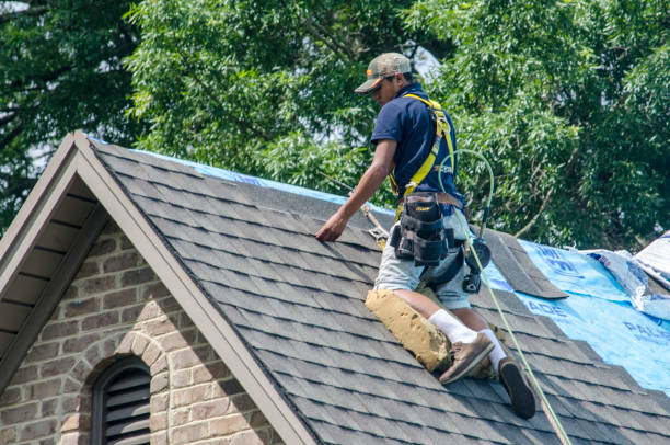 Best Slate Roofing Contractor  in Ladd, IL